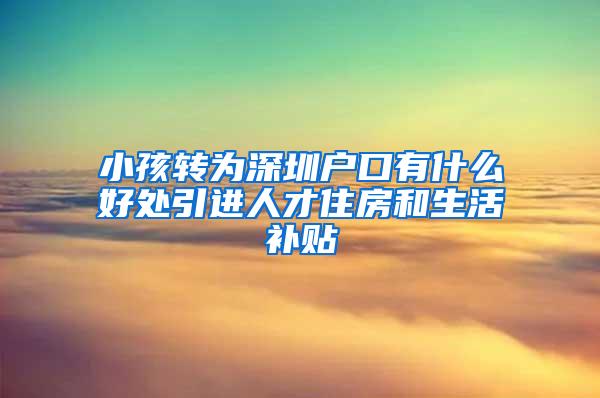 小孩转为深圳户口有什么好处引进人才住房和生活补贴