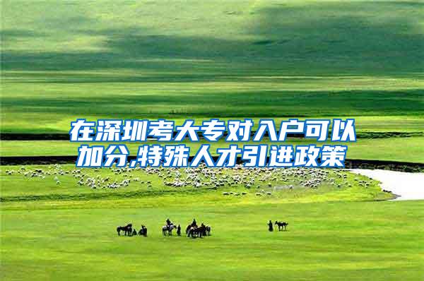 在深圳考大专对入户可以加分,特殊人才引进政策