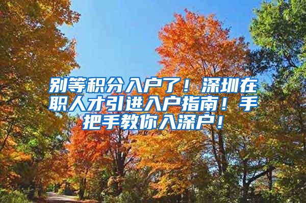 别等积分入户了！深圳在职人才引进入户指南！手把手教你入深户！