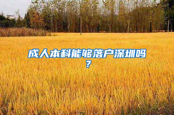 成人本科能够落户深圳吗？