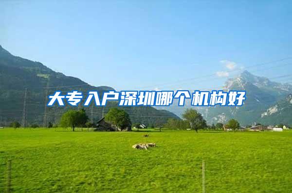 大专入户深圳哪个机构好