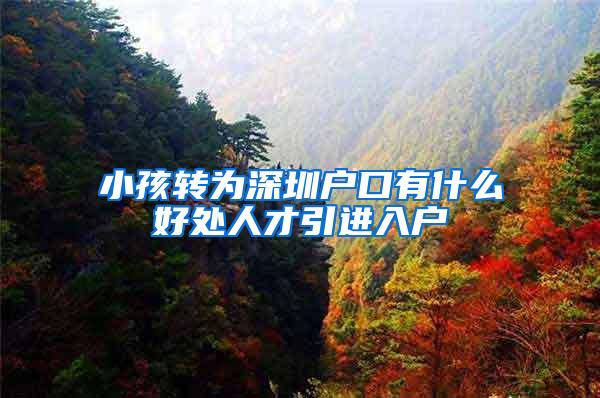 小孩转为深圳户口有什么好处人才引进入户