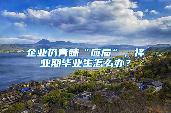 企业仍青睐“应届”，择业期毕业生怎么办？