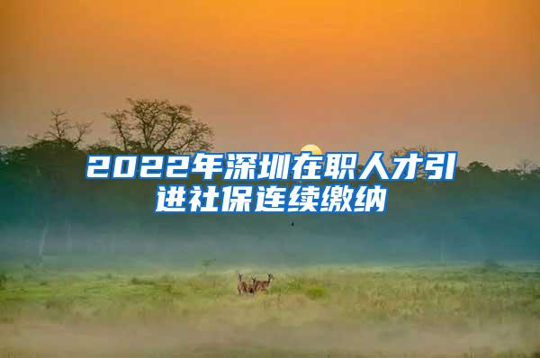 2022年深圳在职人才引进社保连续缴纳