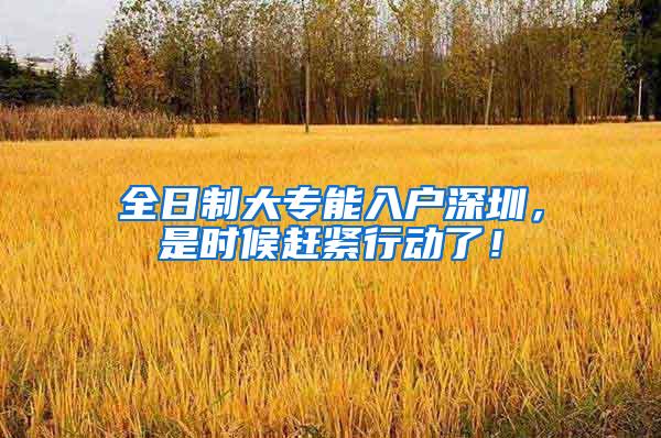全日制大专能入户深圳，是时候赶紧行动了！