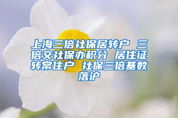 上海三倍社保居转户 三倍交社保办积分 居住证转常住户 社保三倍基数落沪