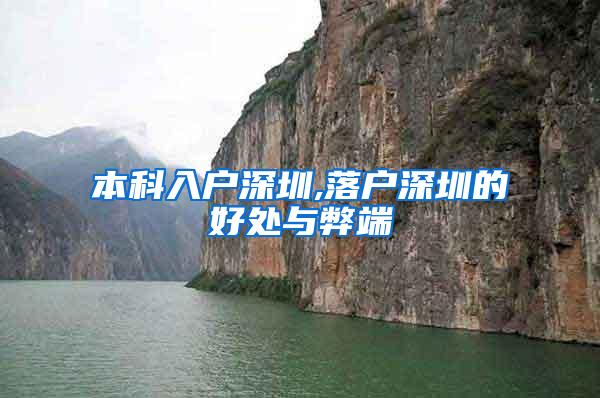 本科入户深圳,落户深圳的好处与弊端