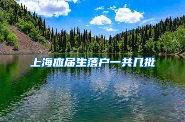 上海应届生落户一共几批