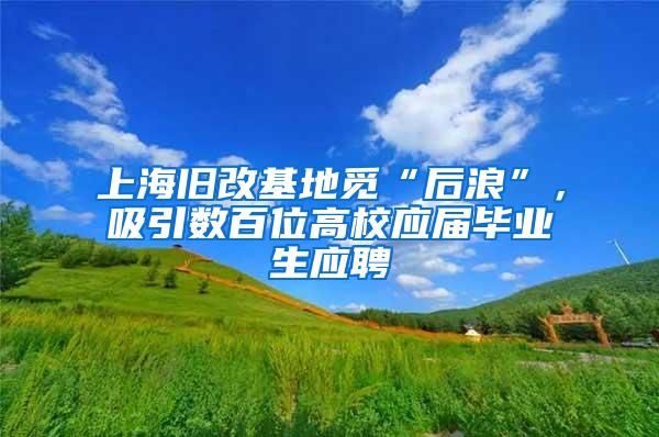 上海旧改基地觅“后浪”，吸引数百位高校应届毕业生应聘