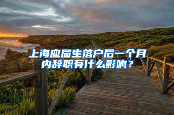 上海应届生落户后一个月内辞职有什么影响？