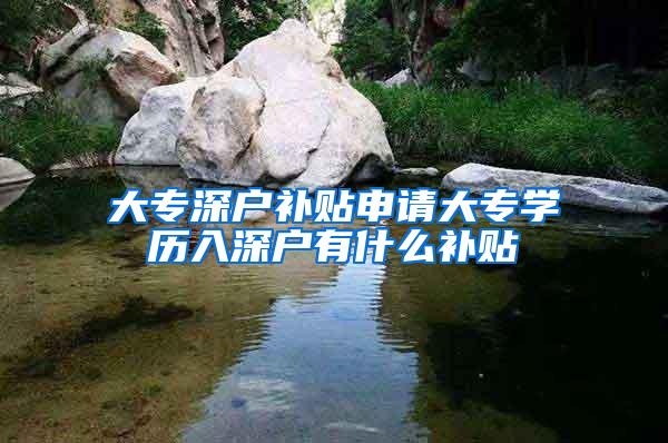 大专深户补贴申请大专学历入深户有什么补贴