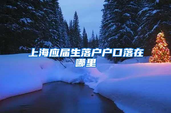 上海应届生落户户口落在哪里