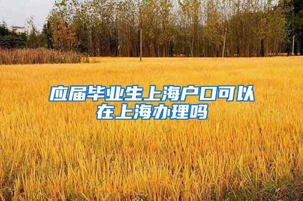 应届毕业生上海户口可以在上海办理吗
