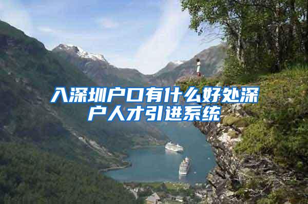 入深圳户口有什么好处深户人才引进系统