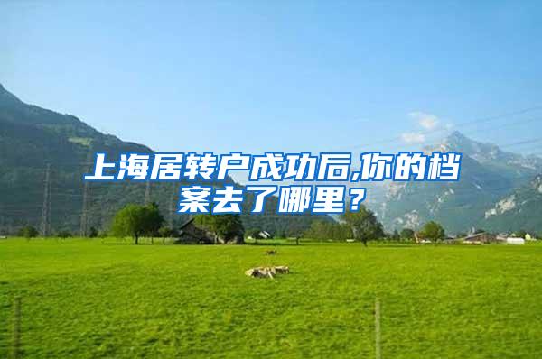上海居转户成功后,你的档案去了哪里？