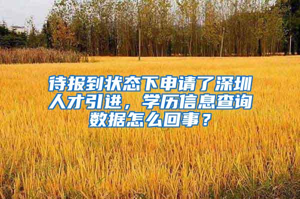 待报到状态下申请了深圳人才引进，学历信息查询数据怎么回事？