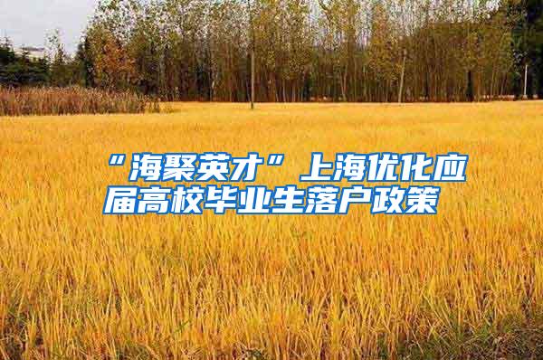 “海聚英才”上海优化应届高校毕业生落户政策
