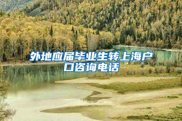 外地应届毕业生转上海户口咨询电话
