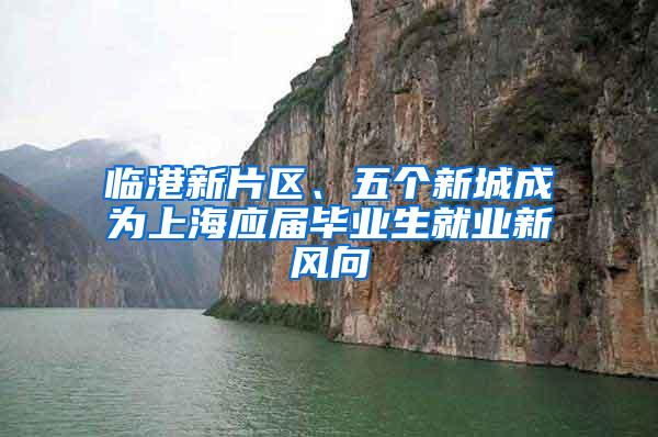 临港新片区、五个新城成为上海应届毕业生就业新风向