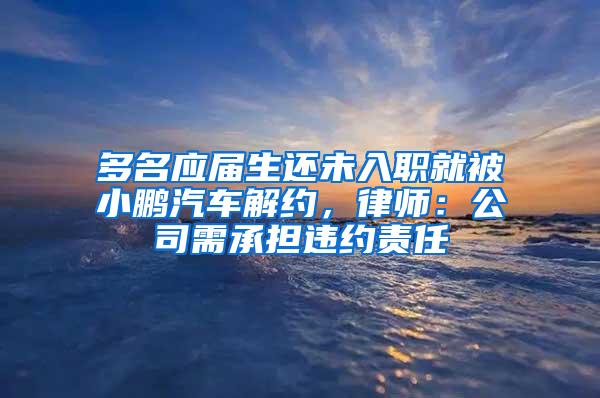 多名应届生还未入职就被小鹏汽车解约，律师：公司需承担违约责任