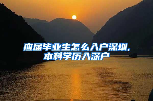 应届毕业生怎么入户深圳,本科学历入深户