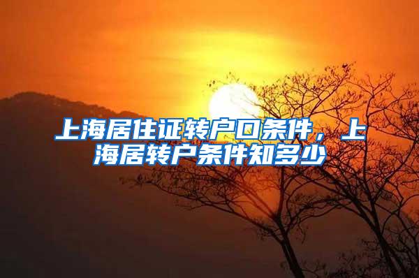 上海居住证转户口条件，上海居转户条件知多少