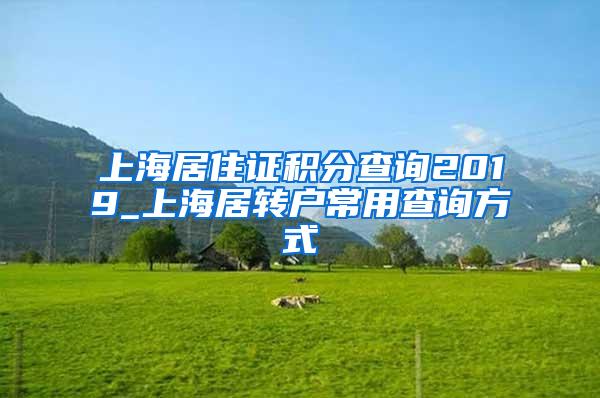 上海居住证积分查询2019_上海居转户常用查询方式