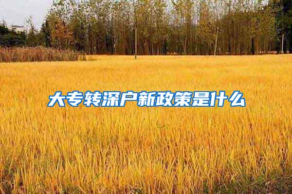 大专转深户新政策是什么