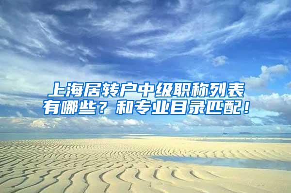 上海居转户中级职称列表有哪些？和专业目录匹配！
