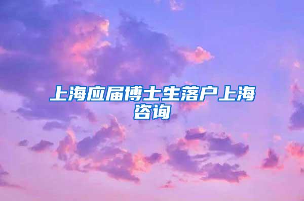 上海应届博士生落户上海咨询