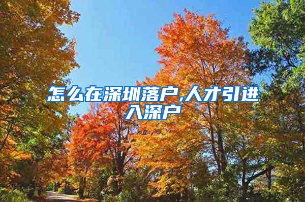 怎么在深圳落户,人才引进入深户