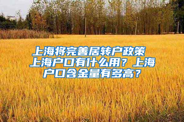 上海将完善居转户政策 上海户口有什么用？上海户口含金量有多高？