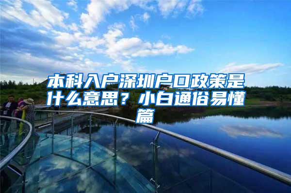 本科入户深圳户口政策是什么意思？小白通俗易懂篇