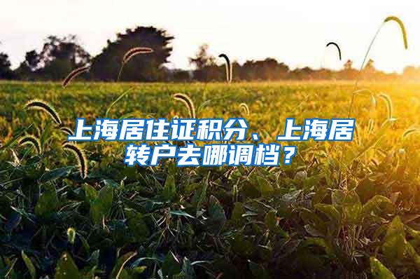 上海居住证积分、上海居转户去哪调档？