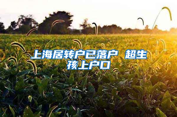 上海居转户已落户 超生孩上户口