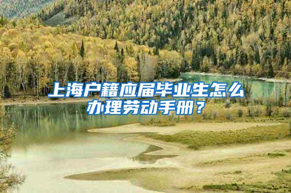 上海户籍应届毕业生怎么办理劳动手册？