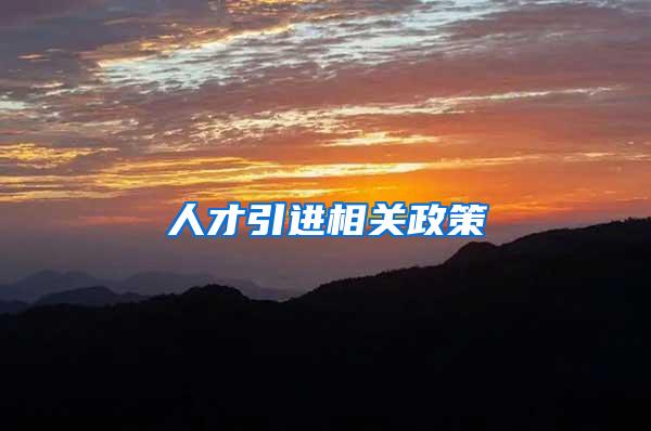 人才引进相关政策