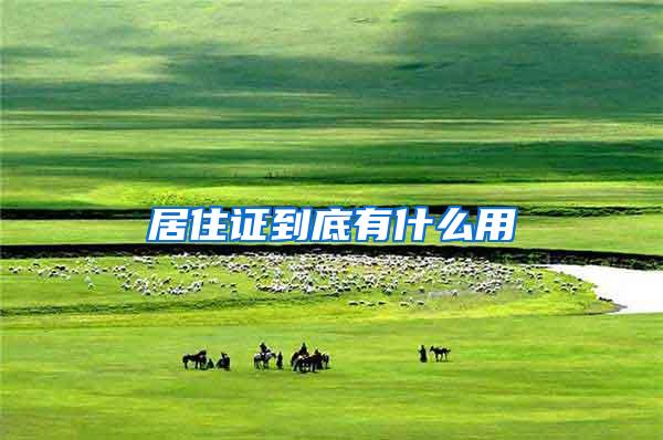 居住证到底有什么用