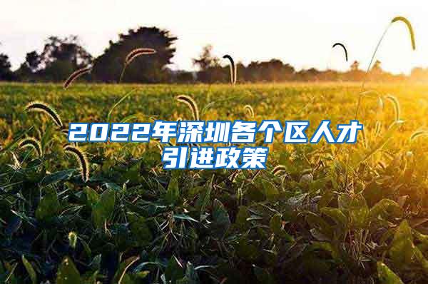 2022年深圳各个区人才引进政策