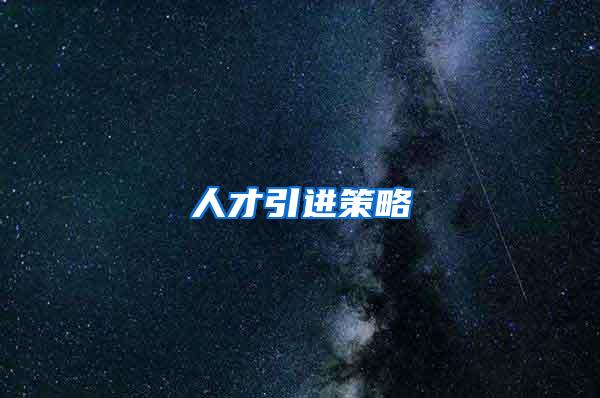 人才引进策略