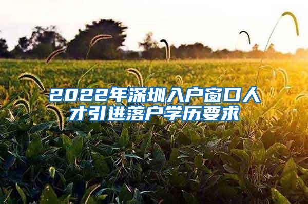 2022年深圳入户窗口人才引进落户学历要求