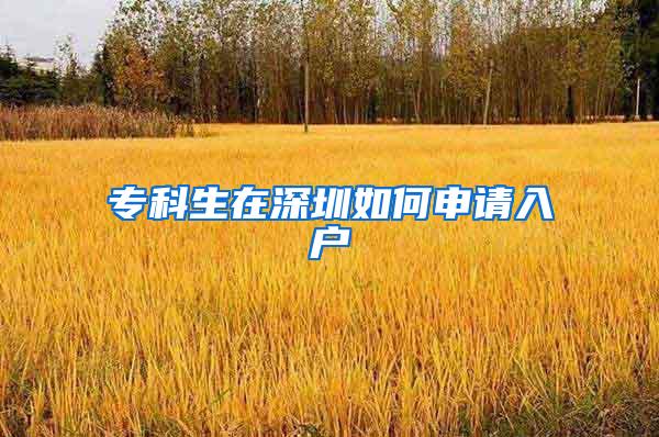 专科生在深圳如何申请入户