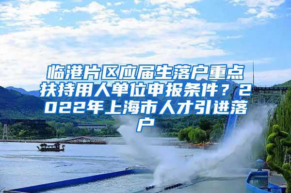 临港片区应届生落户重点扶持用人单位申报条件？2022年上海市人才引进落户