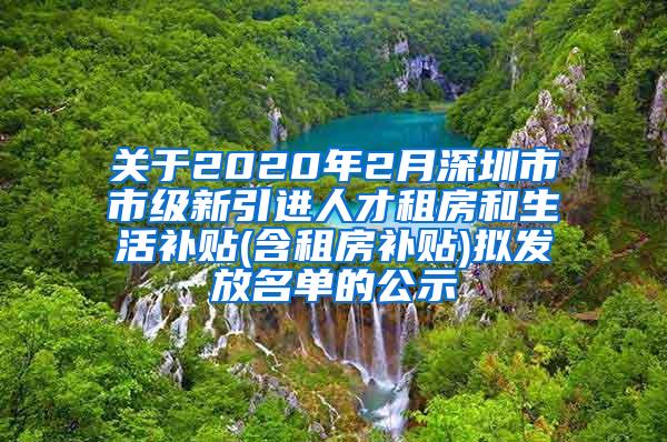 关于2020年2月深圳市市级新引进人才租房和生活补贴(含租房补贴)拟发放名单的公示
