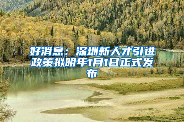 好消息：深圳新人才引进政策拟明年1月1日正式发布