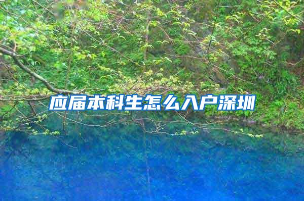 应届本科生怎么入户深圳