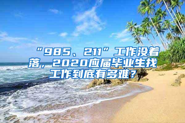 “985、211”工作没着落，2020应届毕业生找工作到底有多难？