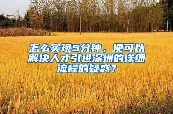 怎么实现5分钟，便可以解决人才引进深圳的详细流程的疑惑？
