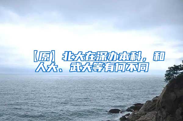 【原】北大在深办本科，和人大、武大等有何不同