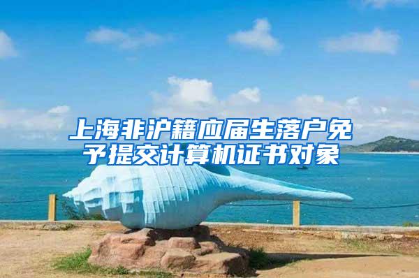 上海非沪籍应届生落户免予提交计算机证书对象